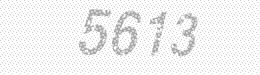 Visual security code — type the characters shown in the image