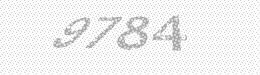 Visual security code — type the characters shown in the image